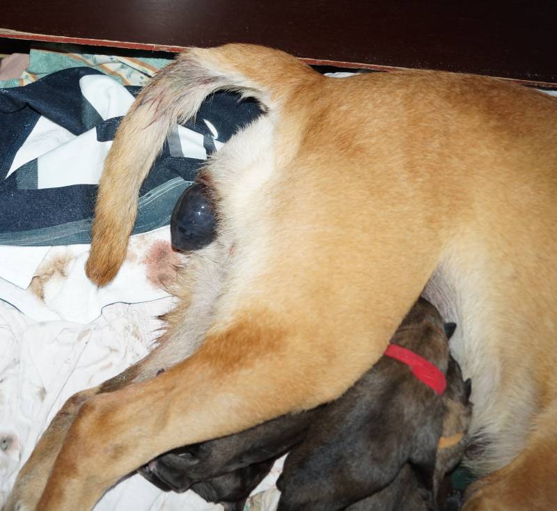 Die Geburt der kleinen F